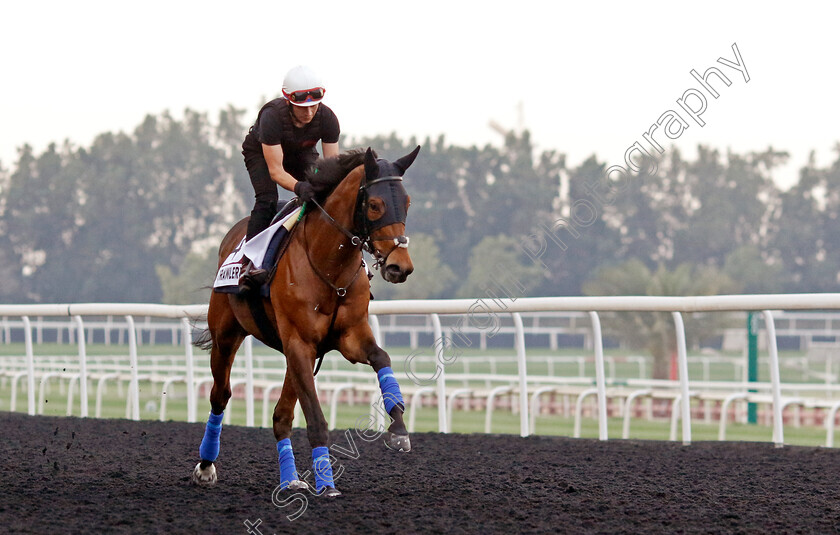 Trawlerman-0002 
 TRAWLERMAN training for the Dubai Gold Cup
Meydan, Dubai, 21 Mar 2023 - Pic Steven Cargill / Racingfotos.com