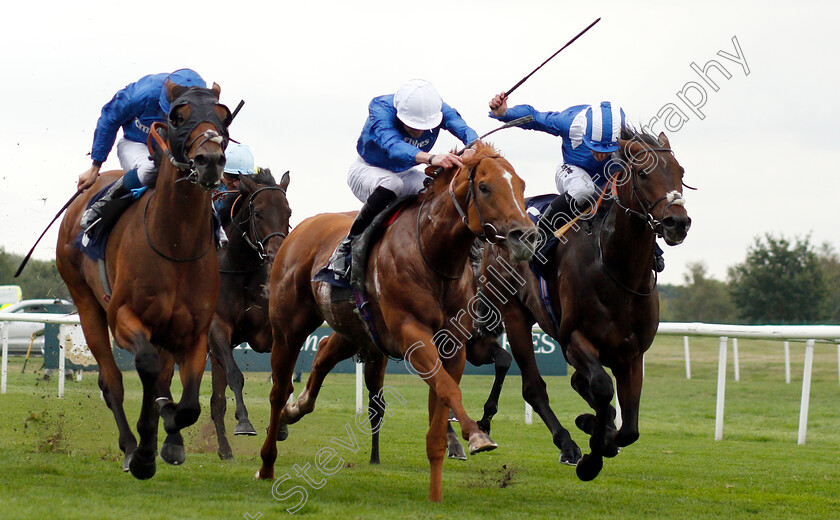 Mustashry-0003 
 MUSTASHRY (right, Jim Crowley) beats DUTCH CONNECTION (centre) and D'BAI (left) in The Alan Wood Plumbing And Heating Park Stakes
Doncaster 15 Sep 2018 - Pic Steven Cargill / Racingfotos.com