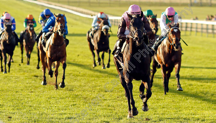 I-Am-I-Said-0004 
 I AM I SAID (Richard Kingscote) wins The British Stallion Studs EBF Future Stayers Novice Stakes
Newmarket 23 Oct 2024 - Pic Steven Cargill / Racingfotos.com