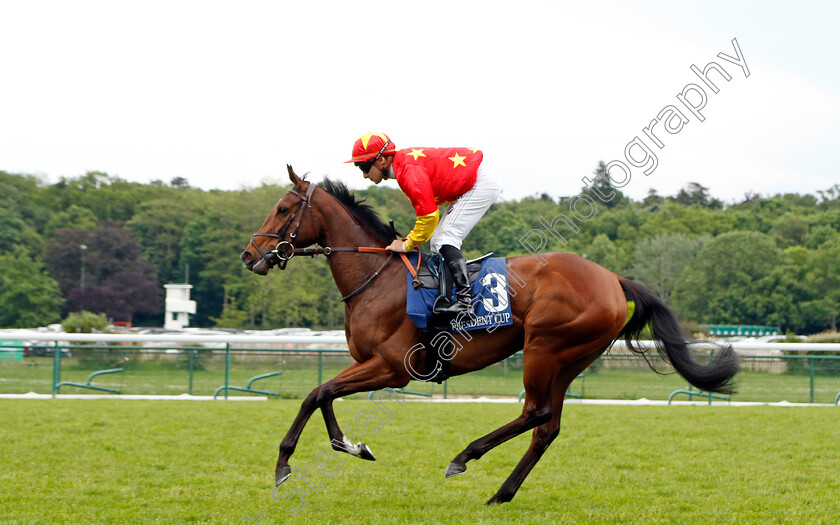 Rose-Bloom-0001 
 ROSE BLOOM (Stephane Pasquier)
Longchamp 12 May 2024 - Pic Steven Cargill / Racingfotos.com