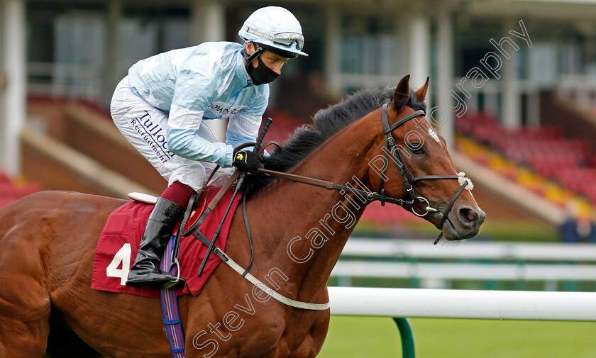 Toronto-0002 
 TORONTO (Cieren Fallon)
Haydock 3 Sep 2020 - Pic Steven Cargill / Racingfotos.com