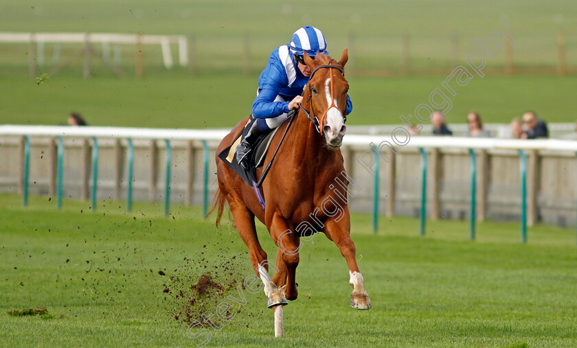 Ehraz-0003 
 EHRAZ (Jim Crowley) wins The British Stallion Studs EBF Conditions Stakes
Newmarket 28 Oct 2022 - Pic Steven Cargill / Racingfotos.com