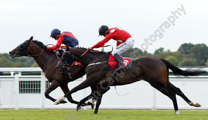 Knight-Errant-0004 
 KNIGHT ERRANT (Silvestre De Sousa) beats JACK REGAN (right) in The Fizz Fridays At Slug And Lettuce Handicap
Sandown 9 Aug 2018 - Pic Steven Cargill / Racingfotos.com