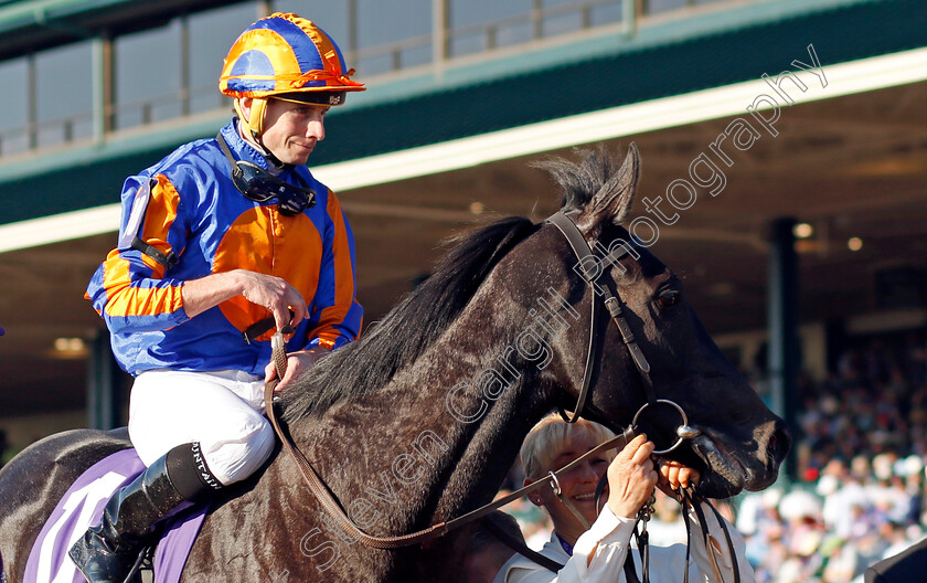 Meditate-0010 
 MEDITATE (Ryan Moore) after the Breeders' Cup Juvenile Fillies Turf 
Breeders Cup Meeting, Keeneland USA, 4 Nov 2022 - Pic Steven Cargill / Racingfotos.com