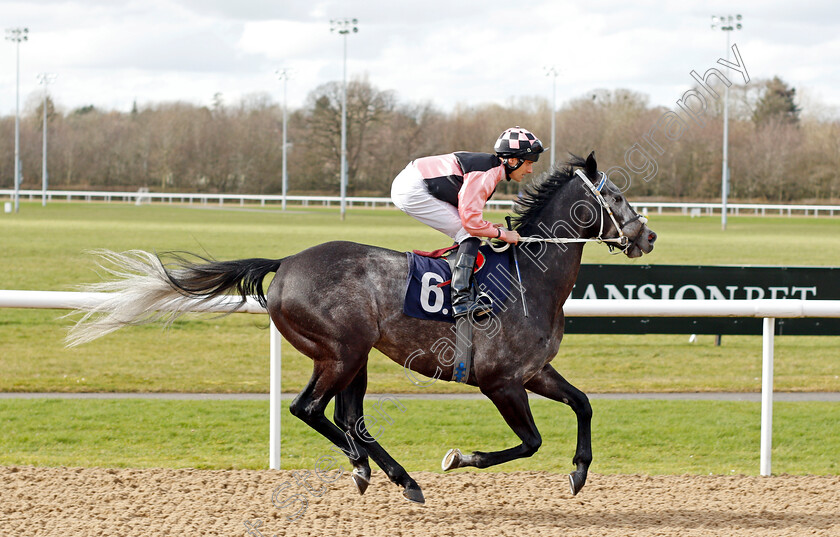 Full-Authority 
 FULL AUTHORITY (Robert Tart)
Wolverhampton 12 Mar 2022 - Pic Steven Cargill / Racingfotos.com