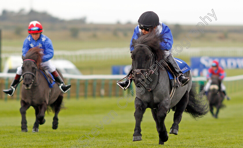 Briar-Smokey-Joe-0002 
 BRIAR SMOKEY JOE (Zak Kent) wins The Shetland Pony Grand National Flat Race Newmarket 29 Sep 2017 - Pic Steven Cargill / Racingfotos.com