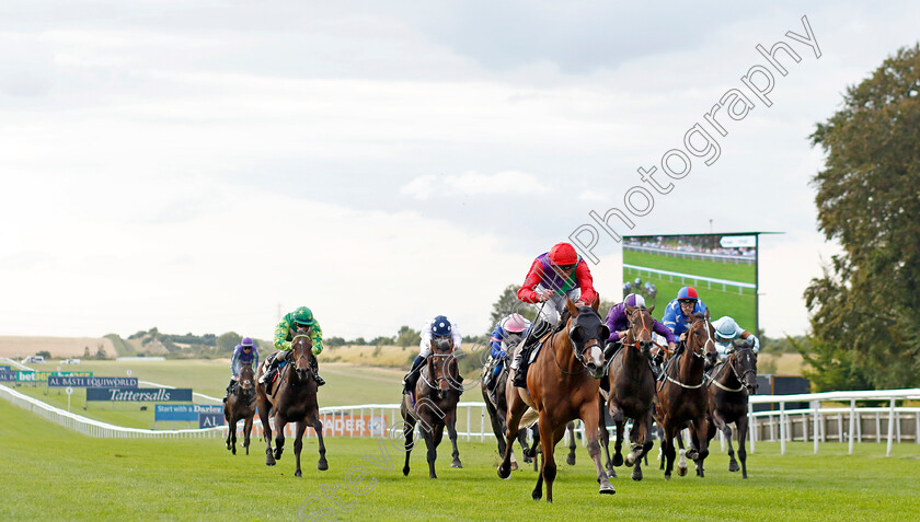 Say-Hello-0006 
 SAY HELLO (James Doyle) wins The Visit racingtv.com Nursery
Newmarket 28 Jul 2023 - Pic Steven Cargill / Racingfotos.com