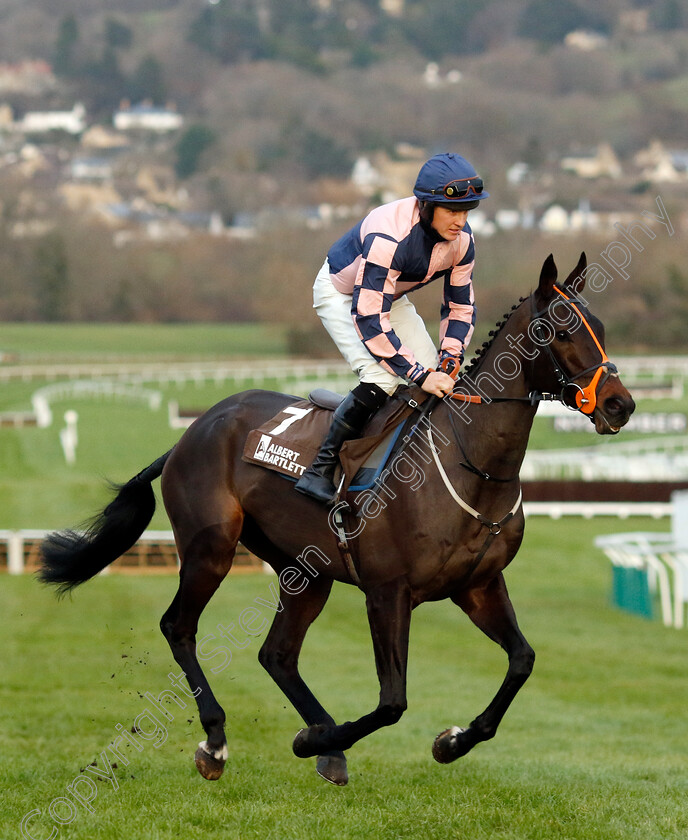 Yellow-Car-0001 
 YELLOW CAR (Nick Slatter)
Cheltenham 14 Dec 2024 - Pic Steven Cargill / Racingfotos.com