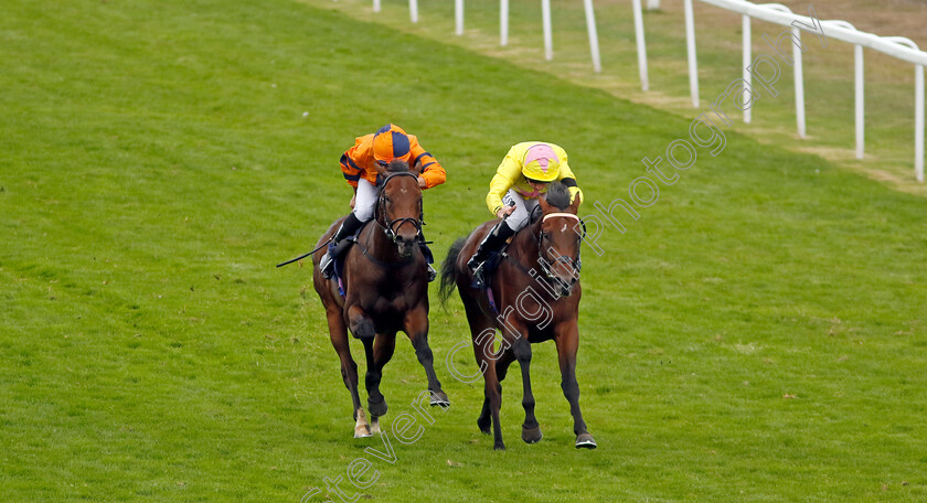 X-J-Rascal-0003 
 X J RASCAL (right, Ryan Moore) beats STAR PLAYER (left) in the Moulton Nurseries Nursery
Yarmouth 14 Sep 2022 - Pic Steven Cargill / Racingfotos.com