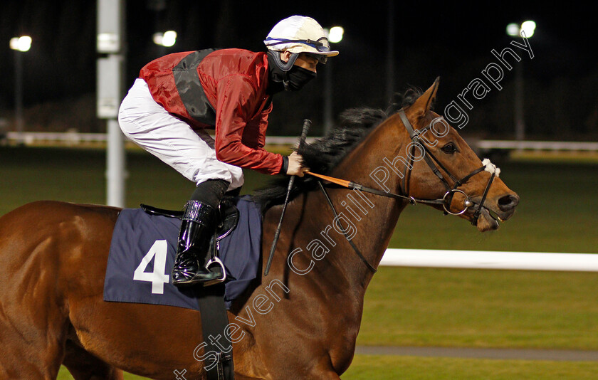 Good-Humor-0003 
 GOOD HUMOR (Richard Kingscote)
Wolverhampton 24 Nov 2020 - Pic Steven Cargill / Racingfotos.com