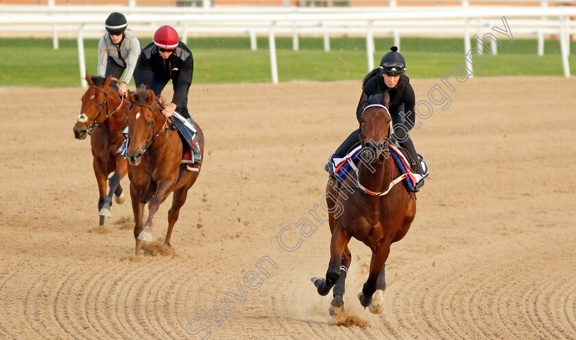 Good-Fortune-0002 
 GOOD FORTUNE training at the Dubai Racing Carnival
Meydan 1 Mar 2024 - Pic Steven Cargill / Racingfotos.com