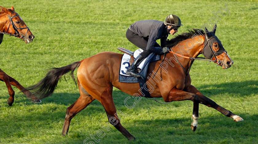 The-Fingal-Raven-0002 
 THE FINGAL RAVEN training at the Dubai Racing Carnival
Meydan 22 Jan 2025 - Pic Steven Cargill / Racingfotos.com