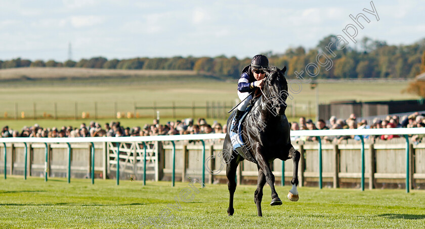 Topgear-0007 
 TOPGEAR (Stephane Pasquier) wins The Thoroughbred Industry Employee Awards Challenge Stakes
Newmarket 11 Oct 2024 - pic Steven Cargill / Racingfotos.com