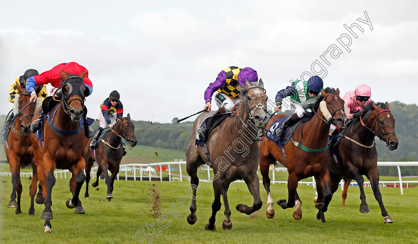 David s-Beauty-0003 
 DAVID'S BEAUTY (left, Luke Morris) beats ZIPEDEEDODAH (centre) KINGSTREET LADY (2nd right) and JOHN JOINER (right) in The Davies, Lovell And Sutton On Course Bookmakers Handicap Chepstow 6 Sep 2017 - Pic Steven Cargill / Racingfotos.com