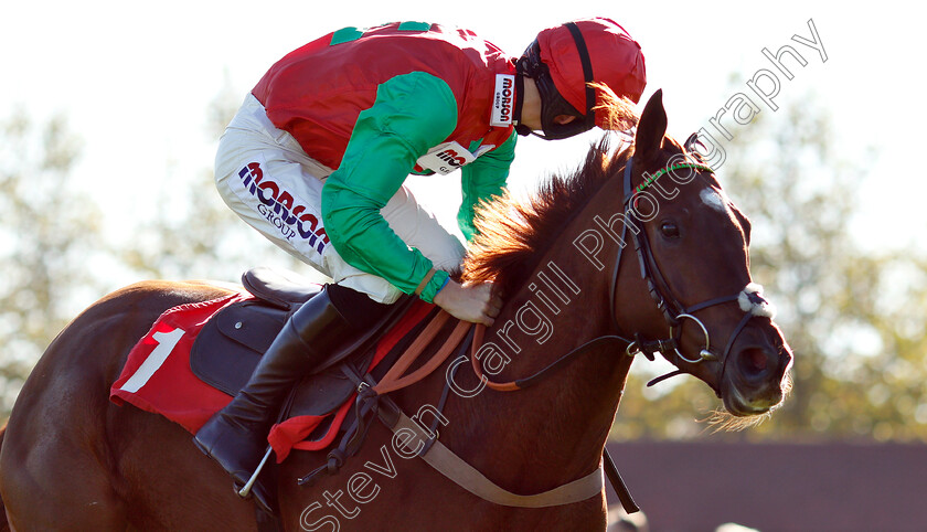 Quel-Destin-0006 
 QUEL DESTIN (Harry Cobden) wins The Matchbook Betting Exchange Juvenile Hurdle
Kempton 21 Oct 2018 - Pic Steven Cargill / Racingfotos.com