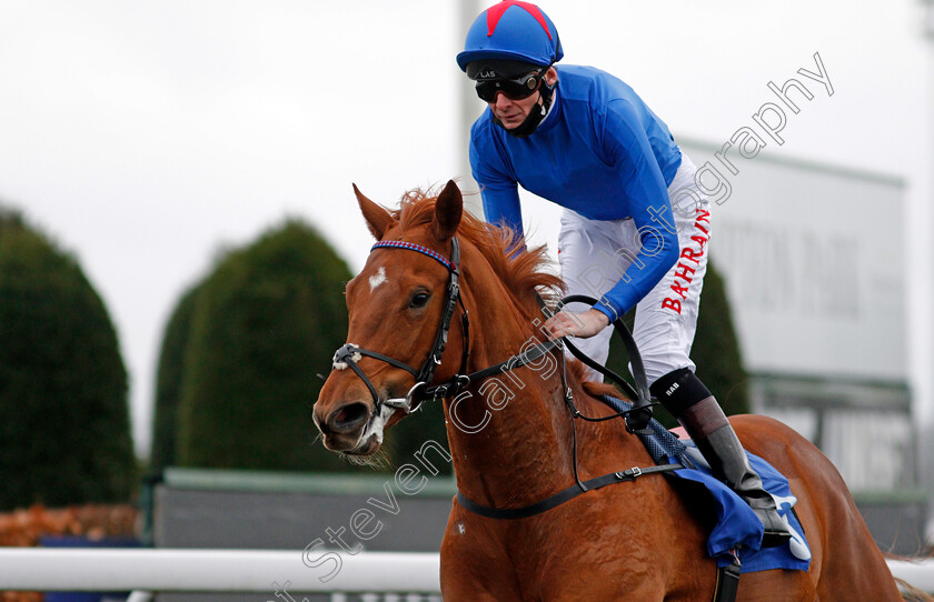 Kestenna-0008 
 KESTENNA (Robert Havlin) wins The Unibet Casino Deposit £10 Get £40 Bonus Fillies Novice Stakes
Kempton 16 Feb 2021 - Pic Steven Cargill / Racingfotos.com