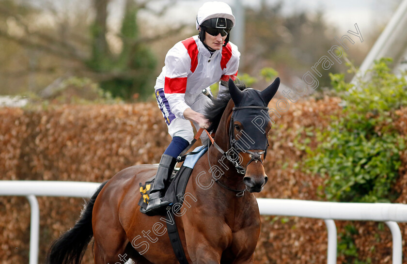 Normandy-Legend-0001 
 NORMANDY LEGEND (Danuel Muscutt)
Kempton 3 Apr 2024 - Pic Steven Cargill / Racingfotos.com