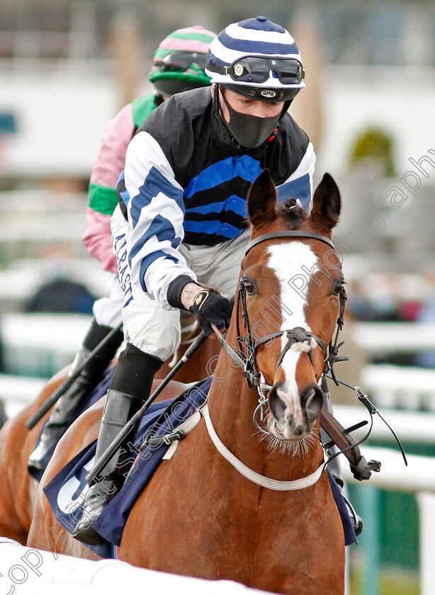 Colinton-0001 
 COLINTON (Cam Hardie)
Doncaster 28 Mar 2021 - Pic Steven Cargill / Racingfotos.com