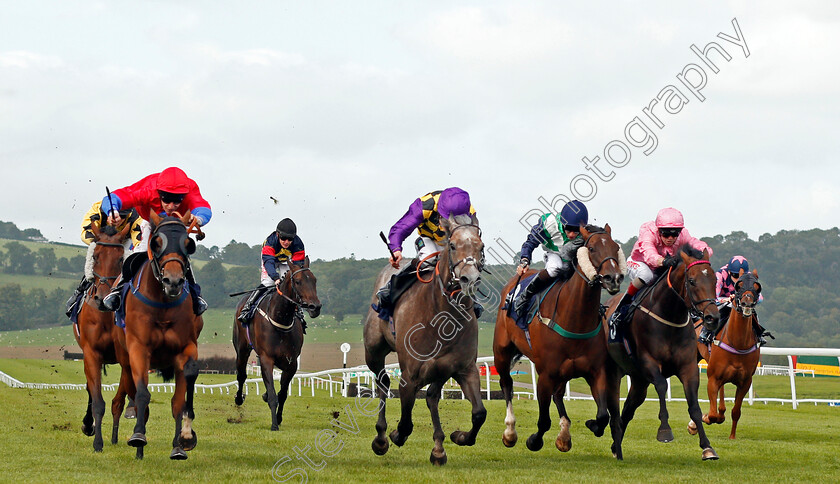 David s-Beauty-0001 
 DAVID'S BEAUTY (left, Luke Morris) beats ZIPEDEEDODAH (centre) KINGSTREET LADY (2nd right) and JOHN JOINER (right) in The Davies, Lovell And Sutton On Course Bookmakers Handicap Chepstow 6 Sep 2017 - Pic Steven Cargill / Racingfotos.com