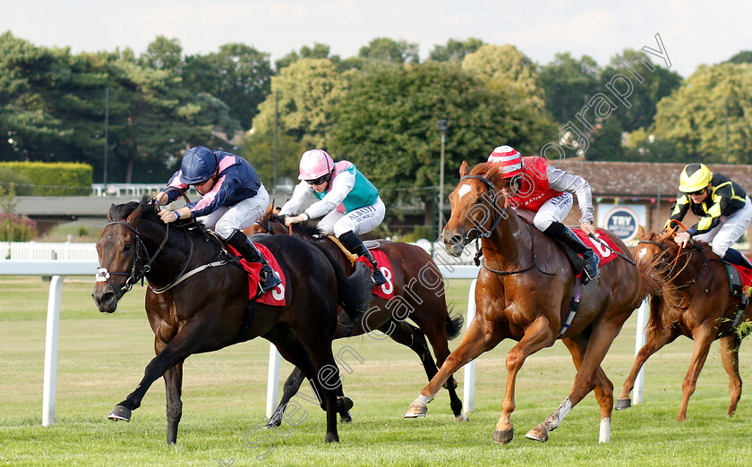 Master-Mcgrath-0001 
 MASTER MCGRATH (Kevin Stott) beats SAND DIEGO (right) in The Slug And Lettuce Christmas Party EBF Maiden Stakes
Sandown 8 Aug 2019 - Pic Steven Cargill / Racingfotos.com