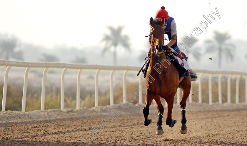 Fev-Rover-0002 
 FEV ROVER exercising in preparation for Friday's Bahrain International Trophy
Sakhir Racecourse, Bahrain 16 Nov 2021 - Pic Steven Cargill / Racingfotos.com