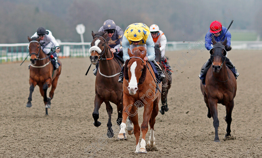 Arcanada-0004 
 ARCANADA (Martin Harley) wins The Play For Free At sunbets.co.uk/vegas Conditions Stakes Lingfield 6 Jan 2018 - Pic Steven Cargill / Racingfotos.com