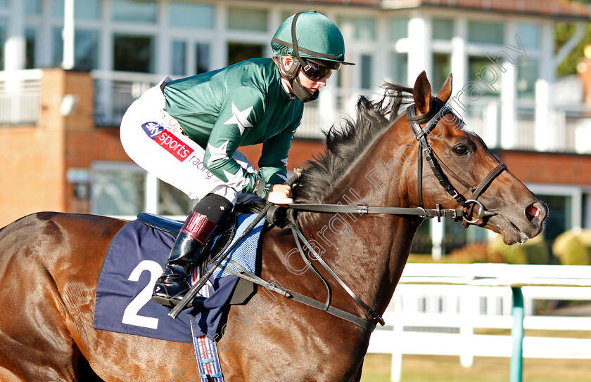 Amtiyaz-0001 
 AMTIYAZ (Hollie Doyle)
Lingfield 4 Aug 2020 - Pic Steven Cargill / Racingfotos.com