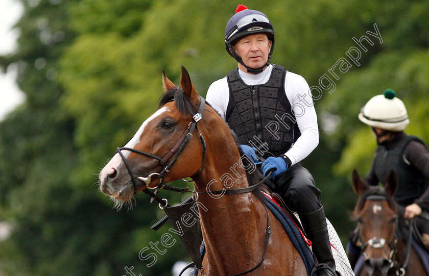 Call-To-Mind-0003 
 CALL TO MIND out on track at Belmont Park in preparation for The Belmont Gold Cup
Belmont Park USA 7 Jun 2018 - Pic Steven Cargill / Racingfotos.com