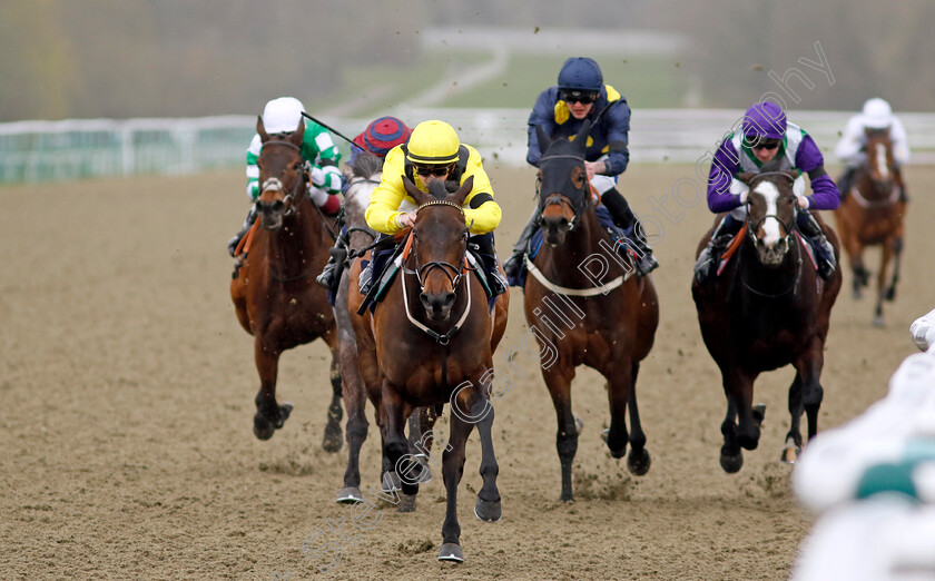 Sattwaa-0001 
 SATTWAA (Hollie Doyle) wins The Free Digital Racecard At raceday-ready.com Fillies Handicap
Lingfield 4 Apr 2024 - Pic Steven Cargill / Racingfotos.com