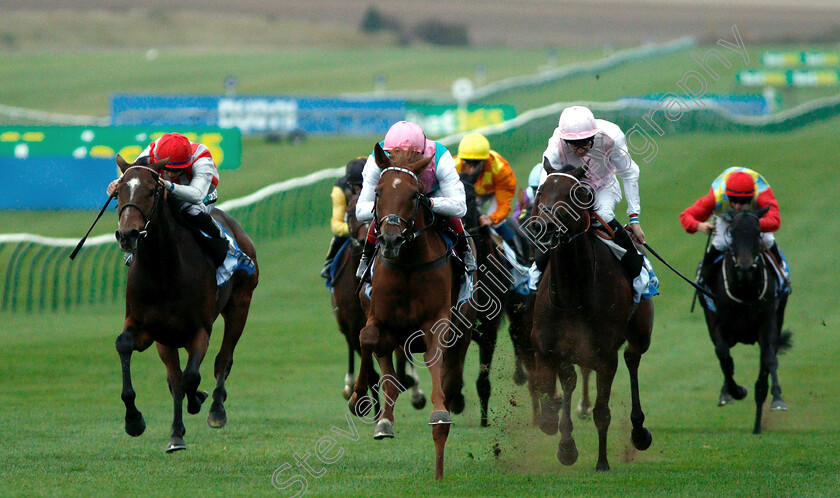 Scottish-Jig-0002 
 SCOTTISH JIG (Frankie Dettori) wins The Jumeirah Al Qasr Pride Stakes
Newmarket 12 Oct 2018 - Pic Steven Cargill / Racingfotos.com