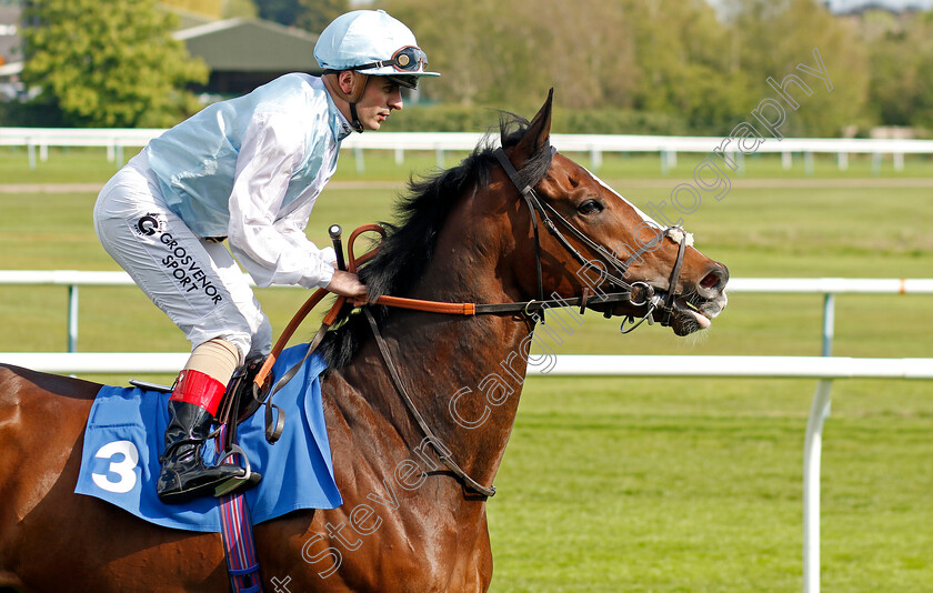 Strategia-0001 
 STRATEGIA (Andrea Atzeni)
Leicester 29 Apr 2023 - Pic Steven Cargill / Racingfotos.com