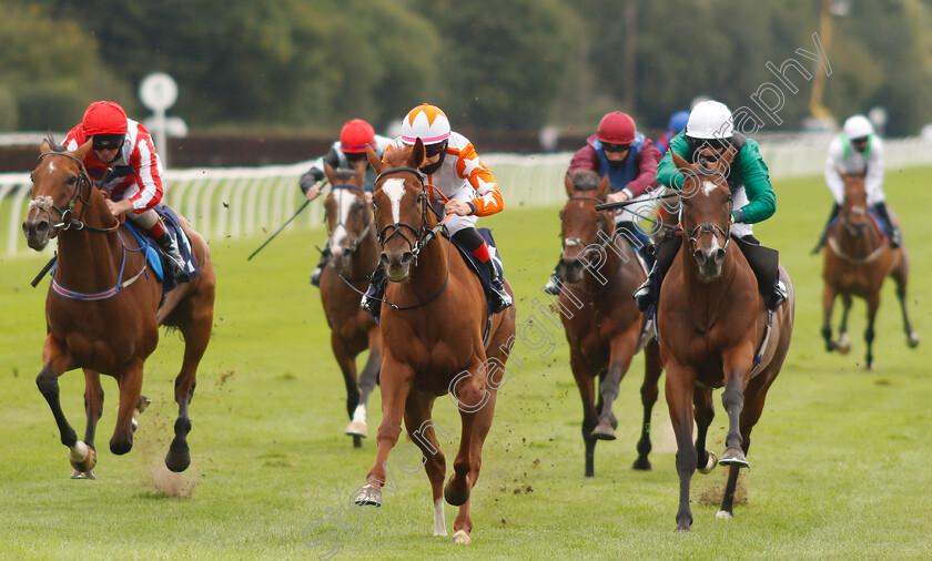 Torochica-0002 
 TOROCHICA (centre, Josephine Gordon) beats LET RIP (right) and TORO DORADO (left) in The Betway Handicap
Lingfield 7 Sep 2020 - Pic Steven Cargill / Racingfotos.com