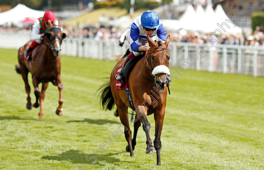 Lady-Princess-0003 
 LADY PRINCESS (Oisin Murphy) wins The Qatar International Stakes (Group 1 for purebred arabians)
Goodwood 28 Jul 2021 - Pic Steven Cargill / Racingfotos.com