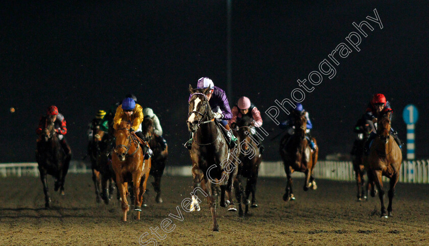 Kingmax-0005 
 KINGMAX (David Egan) wins The Unibet Novice Stakes
Kempton 2 Mar 2022 - Pic Steven Cargill / Racingfotos.com