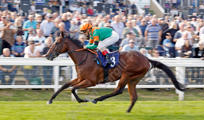 Lord-Of-Biscay-0001 
 LORD OF BISCAY (Andrea Atzeni) wins The EBF Future Stayers Maiden Stakes
Yarmouth 14 Sep 2022 - Pic Steven Cargill / Racingfotos.com