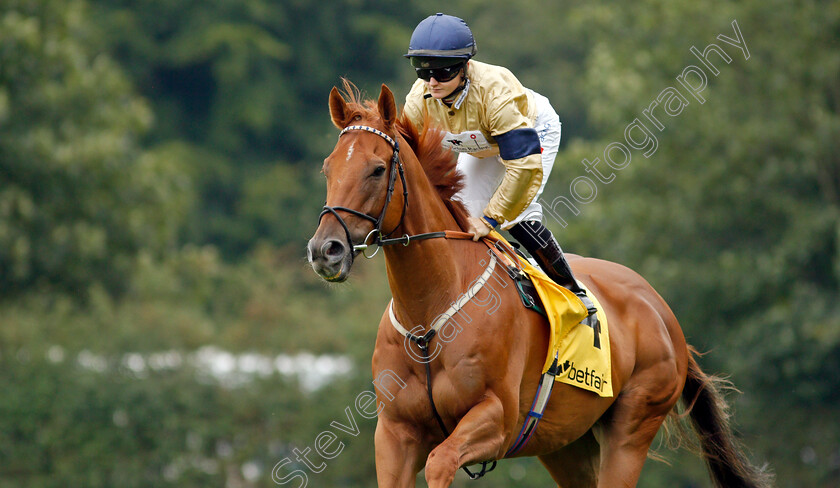 Glen-Shiel-0002 
 GLEN SHIEL (Hollie Doyle)
Haydock 4 Sep 2021 - Pic Steven Cargill / Racingfotos.com