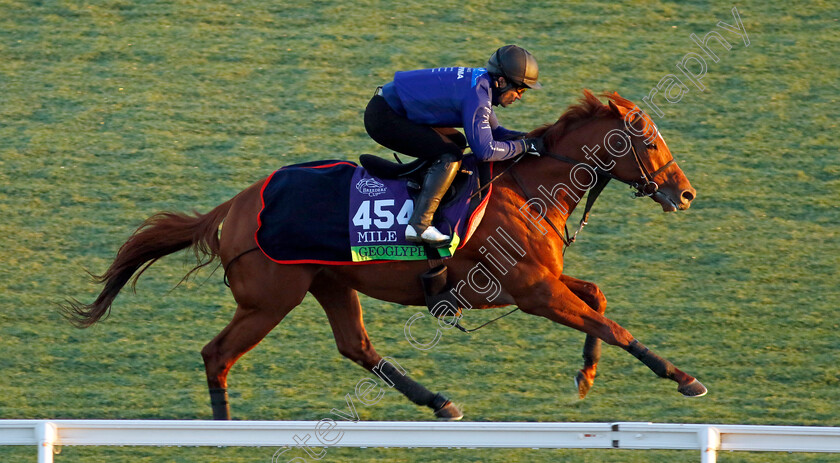 Geoglyph-0001 
 GEOGLYPH training for the Breeders' Cup Mile
Del Mar USA 30 Oct 2024 - Pic Steven Cargill / Racingfotos.com