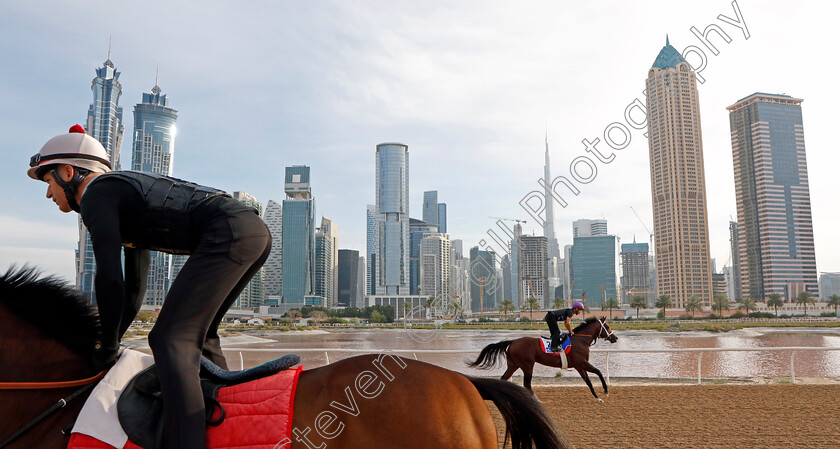 Isolate-0002 
 ISOLATE training for The Godolphin Mile at the Al Quoz training track
Meydan Dubai 27 Mar 2024 - Pic Steven Cargill / Racingfotos.com