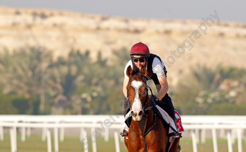 Point-Lonsdale-0011 
 POINT LONSDALE training for the Bahrain International Trophy
Kingdom of Bahrain 13 Nov 2024 - Pic Steven Cargill / Racingfotos.com