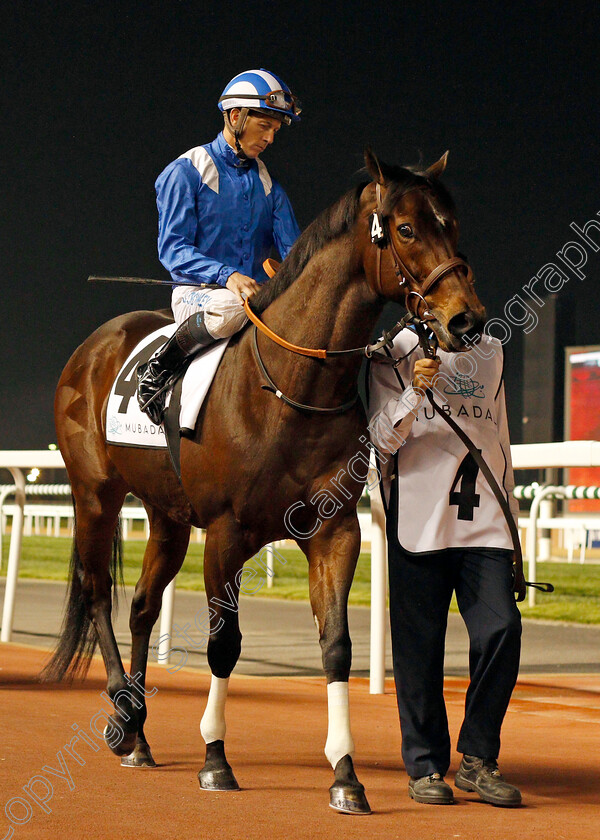 Muarrab-0001 
 MUARRAB (Jim Crowley) Meydan 18 Jan 2018 - Pic Steven Cargill / Racingfotos.com