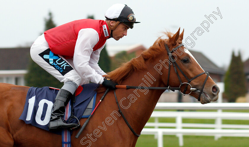 Tigerskin-0001 
 TIGERSKIN (Stevie Donohoe)
Lingfield 20 Nov 2018 - Pic Steven Cargill / Racingfotos.com