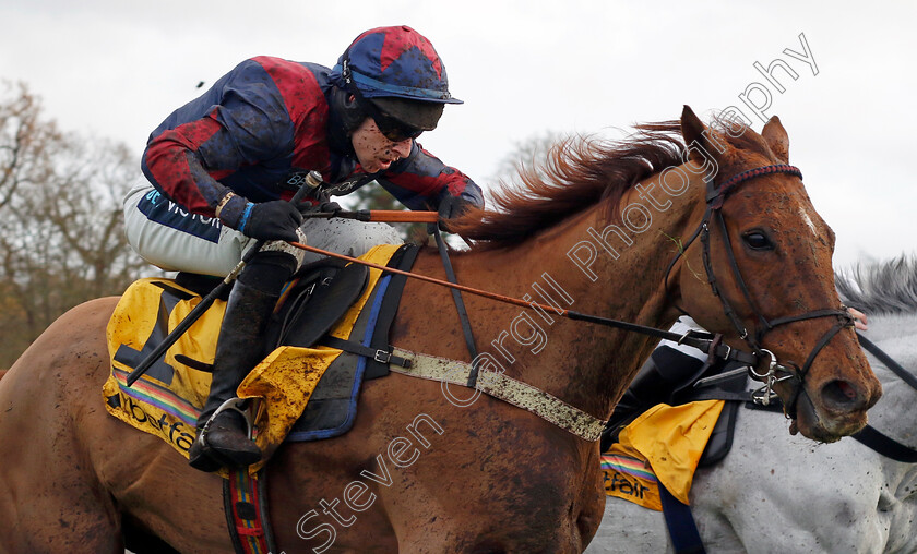 Colonel-Harry-0001 
 COLONEL HARRY (Gavin Sheehan)
Sandown 9 Dec 2023 - Pic Steven Cargill / Racingfotos.com