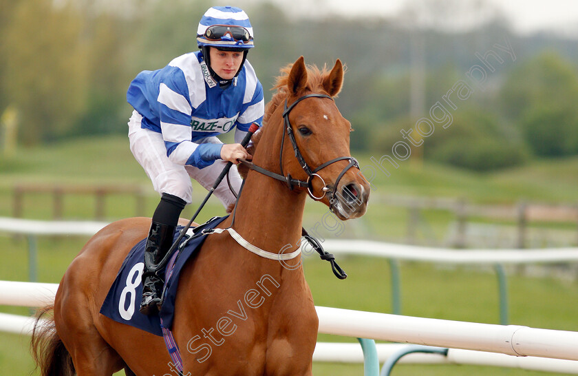 Grazeon-Roy-0001 
 GRAZEON ROY (Robbie Downey)
Southwell 29 Apr 2019 - Pic Steven Cargill / Racingfotos.com