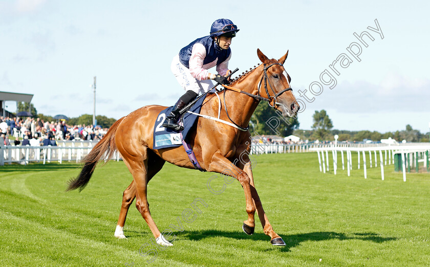 Freyja-0001 
 FREYJA (Silvestre De Sousa)
Yarmouth 15 Sep 2021 - Pic Steven Cargill / Racingfotos.com