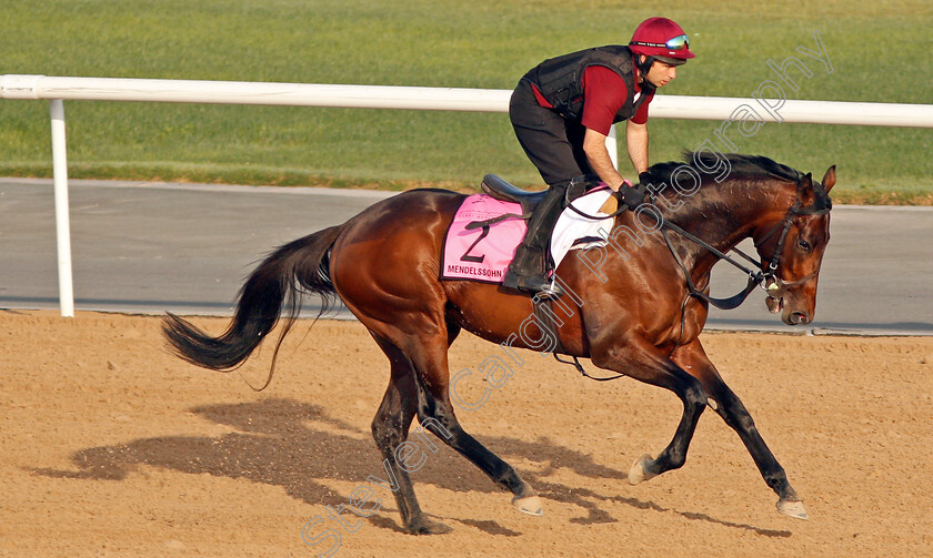 Mendelssohn-0003 
 MENDELSSOHN exercising in preparation for The UAE Derby at Meydan 29 Mar 2018 - Pic Steven Cargill / Racingfotos.com