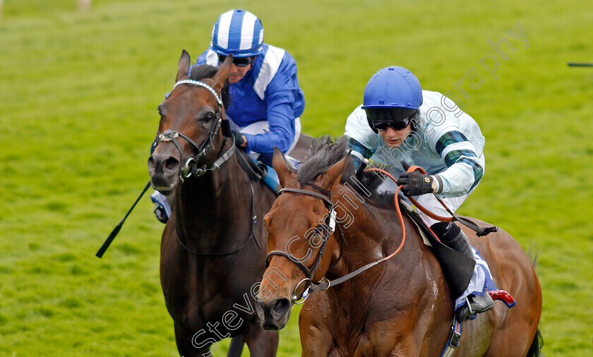 Quickthorn-0006 
 QUICKTHORN (right, Jason Hart) beats ISRAR (left) in The Sky Bet Grand Cup
York 17 Jun 2023 - Pic Steven Cargill / Racingfotos.com