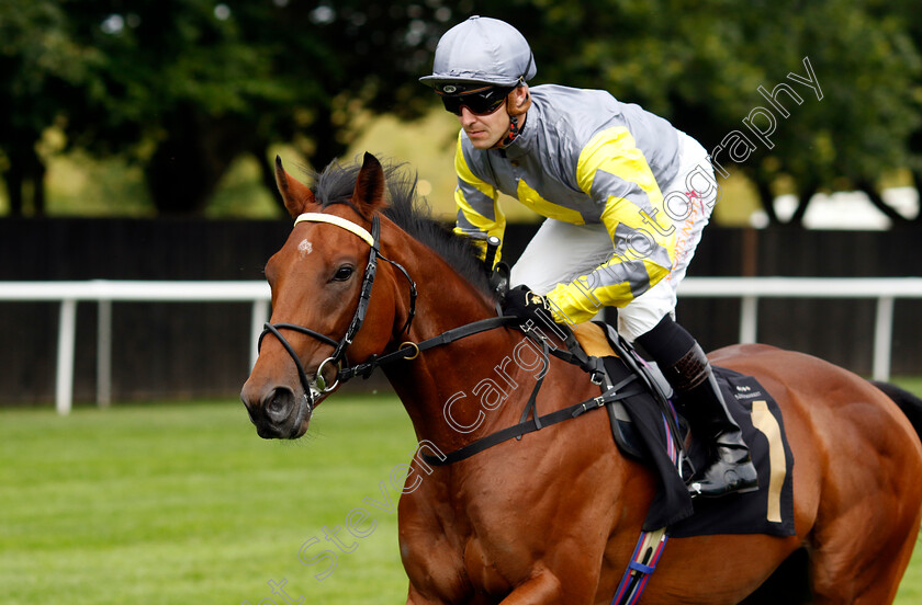 Habrdi-0001 
 HABRDI (Kevin Stott)
Newmarket 28 Jul 2023 - Pic Steven Cargill / Racingfotos.com