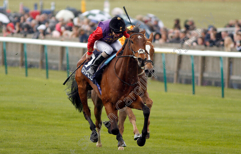 Elector-0003 
 ELECTOR (Joe Fanning) wins The Spring Lodge Handicap
Newmarket 4 May 2019 - Pic Steven Cargill / Racingfotos.com