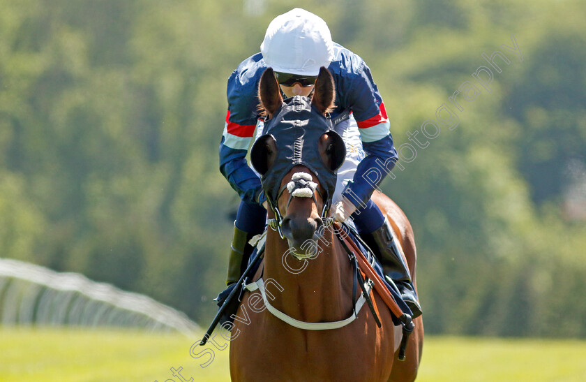 Attache 
 ATTACHE (Harry Davies)
Chepstow 27 May 2022 - Pic Steven Cargill / Racingfotos.com