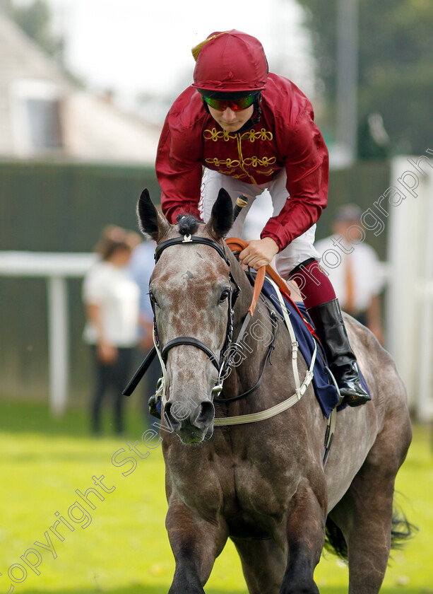 Cowboy-0001 
 COWBOY (Cieren Fallon)
Yarmouth 16 Sep 2021 - Pic Steven Cargill / Racingfotos.com